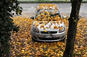 Automne