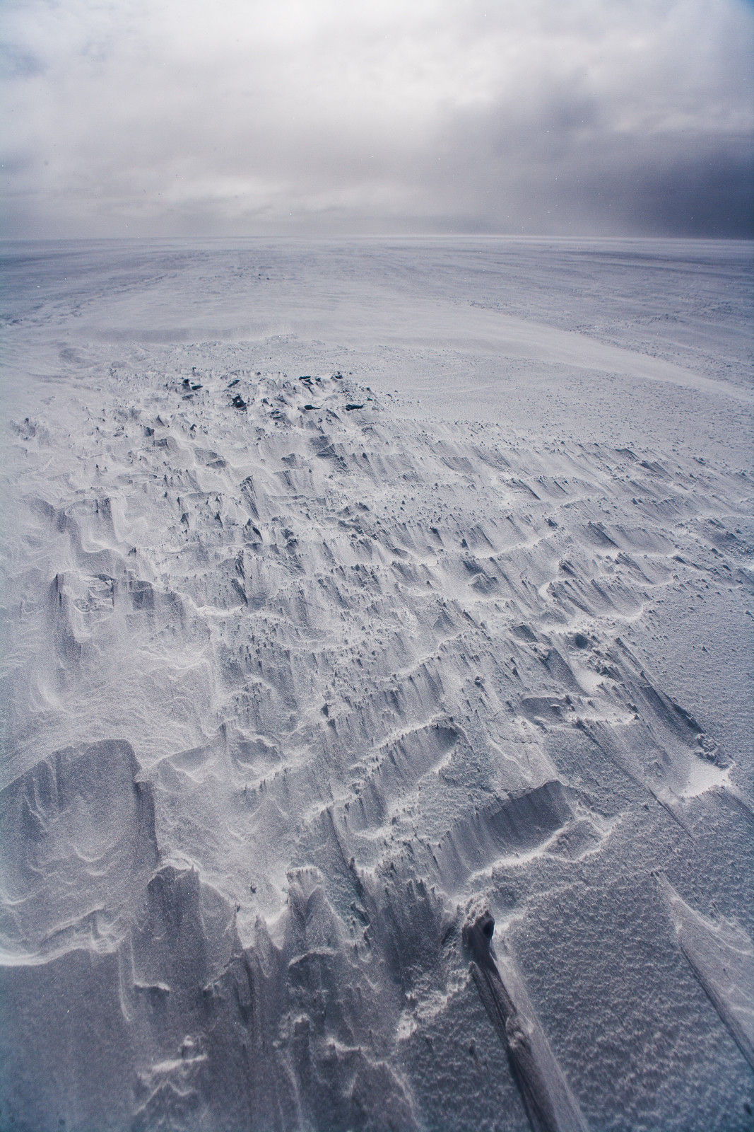 Notre Patrimoine Polaire