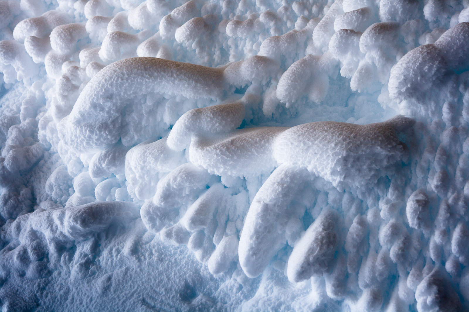 Notre Patrimoine Polaire