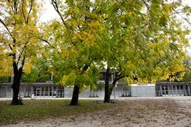 Automne