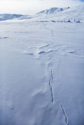 023_63b6059