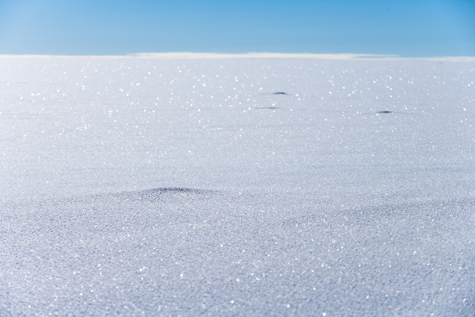 Notre Patrimoine Polaire
