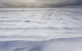 Our Polar Heritage