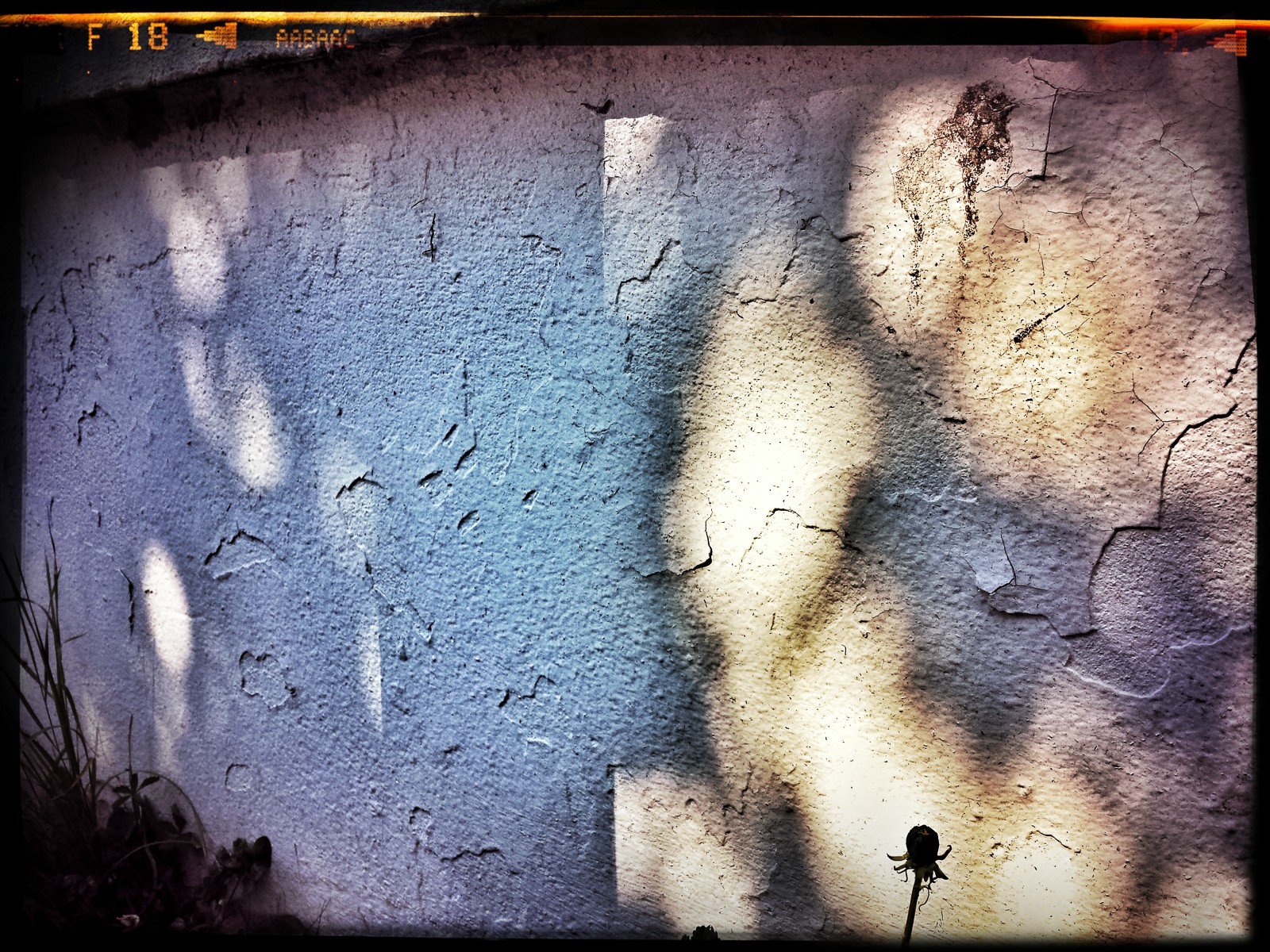 Christian_Morel_20150701_103012-01