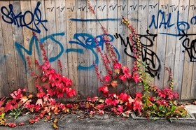 Automne