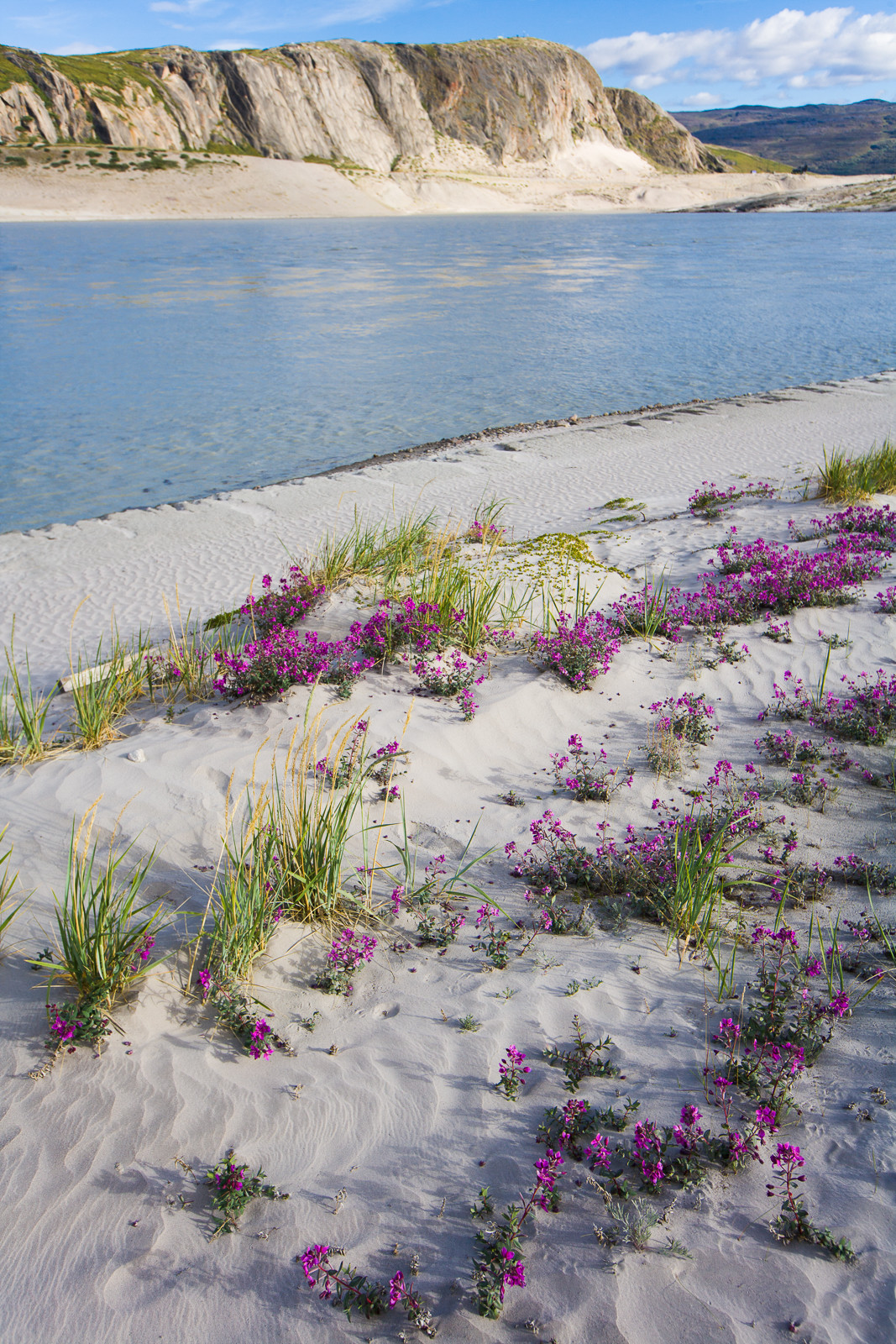 Notre Patrimoine Polaire