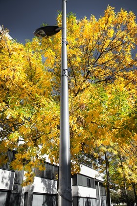 Automne