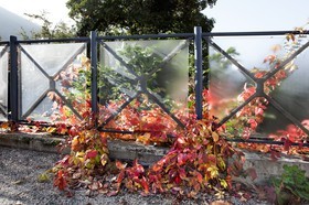 Automne