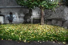 Automne