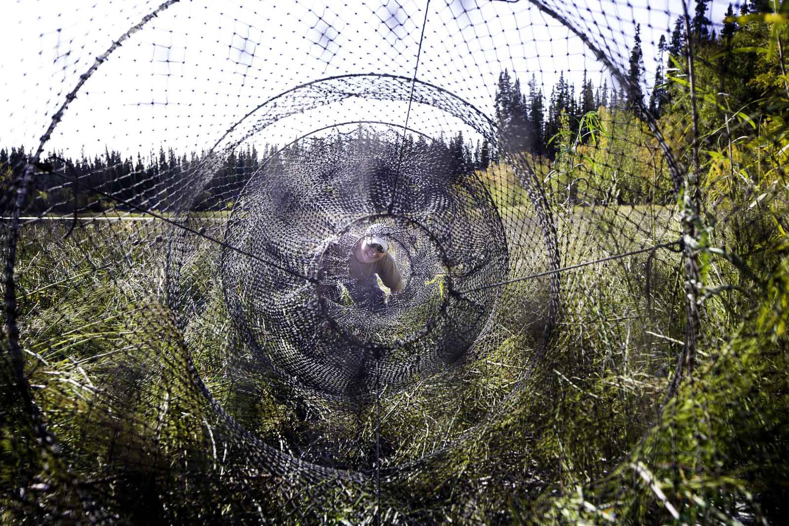 Notre Patrimoine Polaire