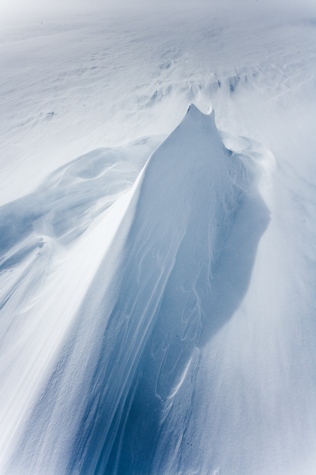 Notre Patrimoine Polaire
