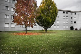 Automne