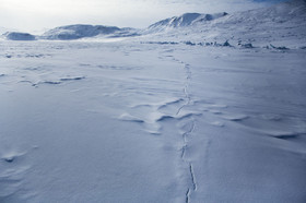 022_63b6057