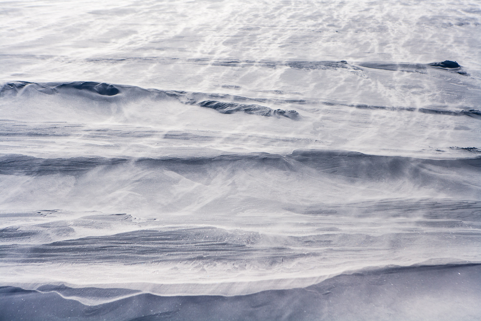 Notre Patrimoine Polaire