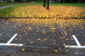 Automne