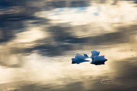 320_63b4838