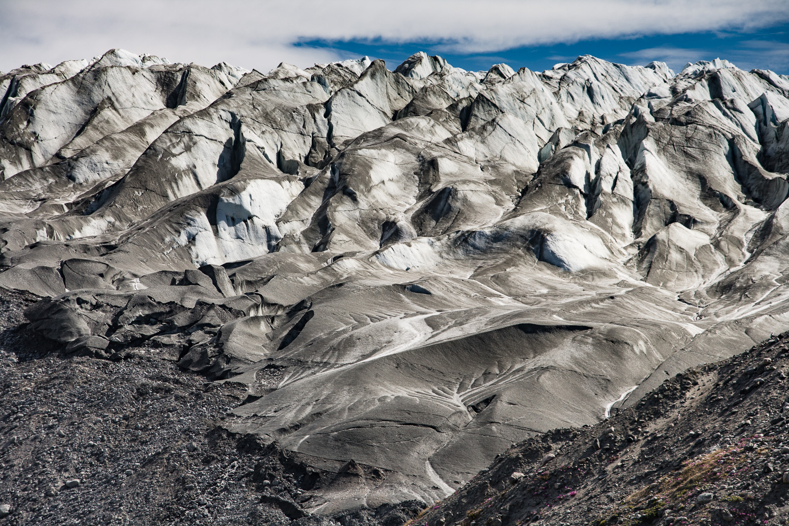 Notre Patrimoine Polaire