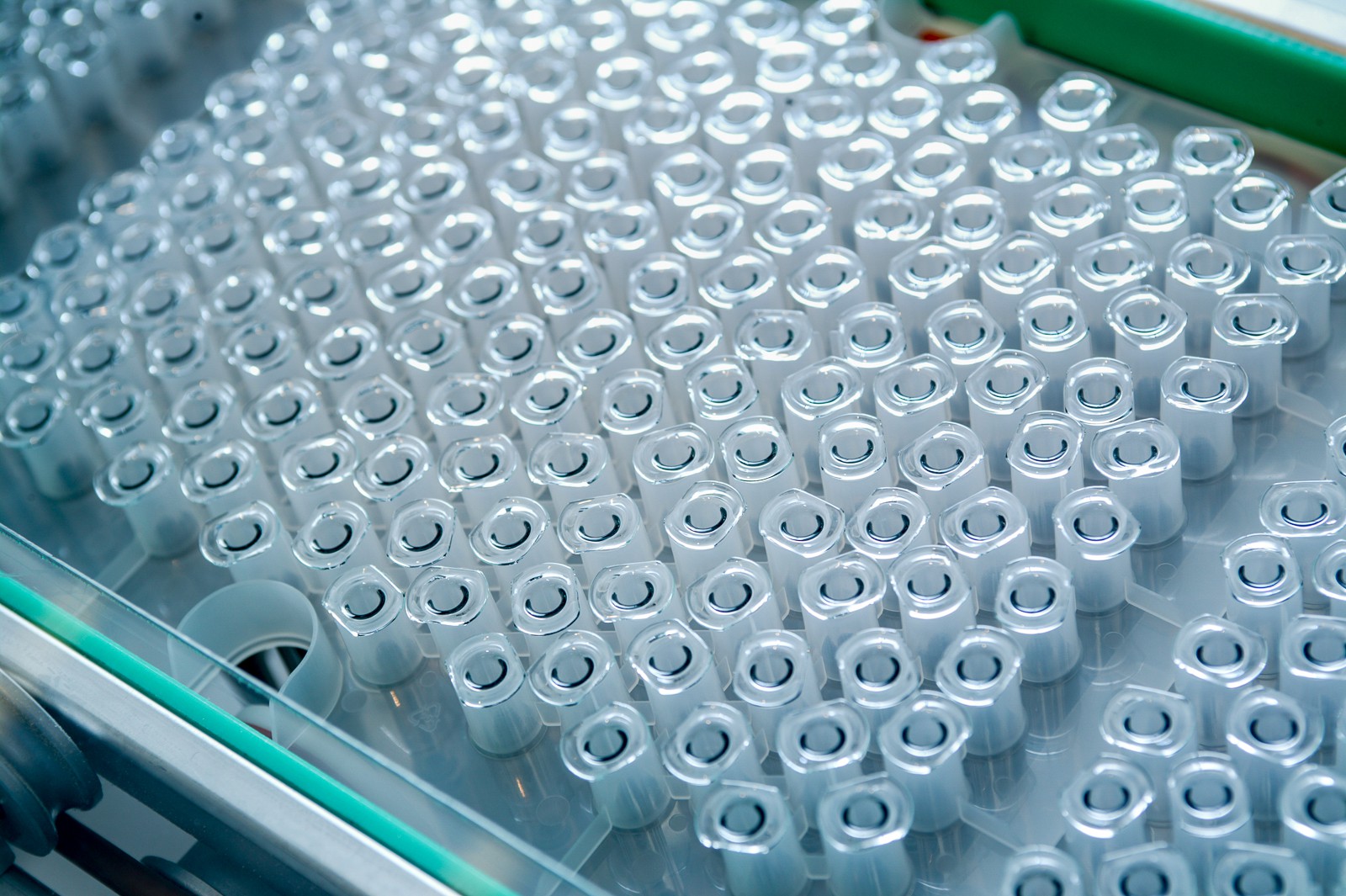 Becton Dickinson Seringues