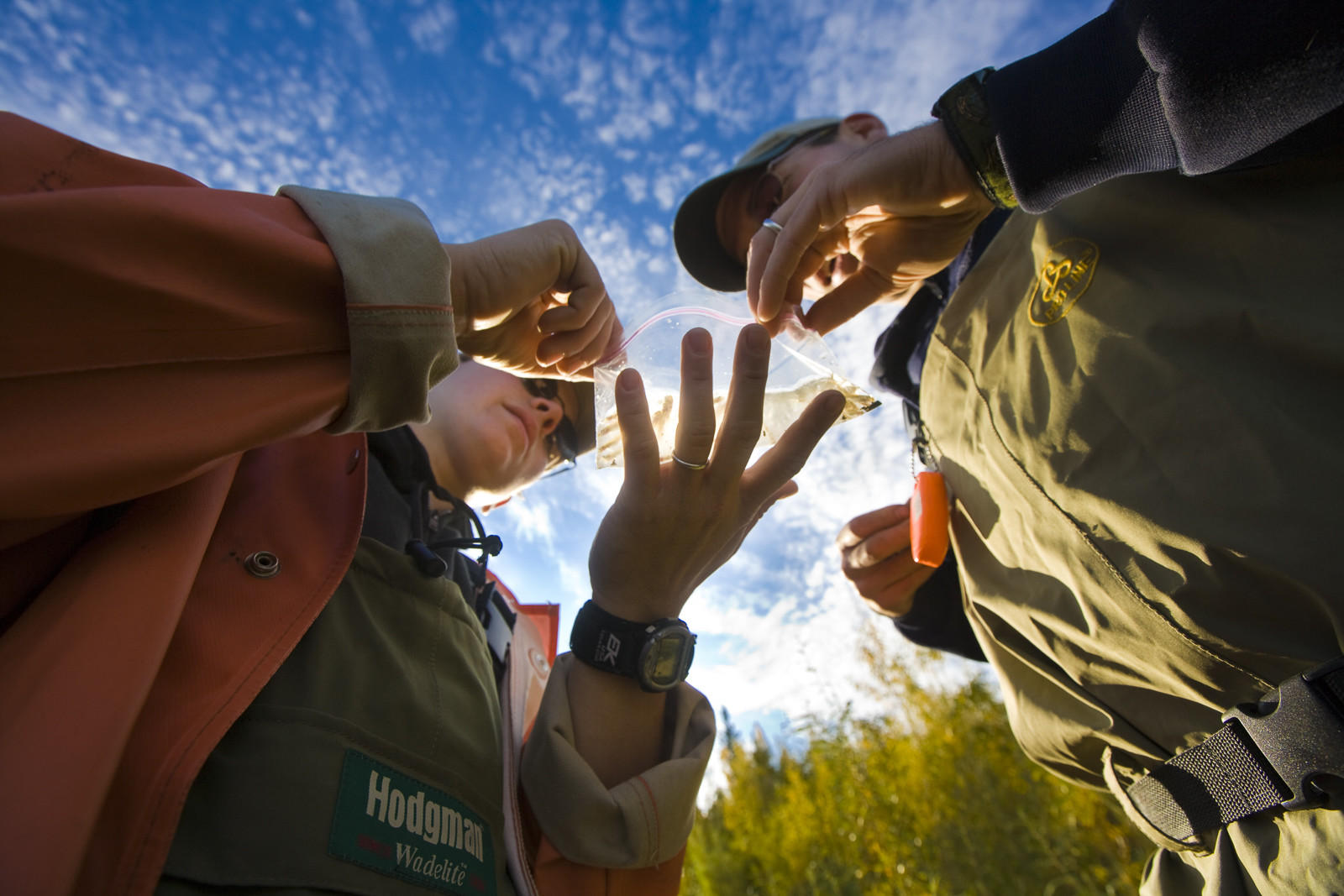 Notre Patrimoine Polaire