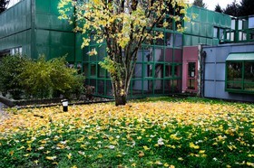 Automne
