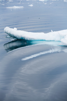 395_63b6421