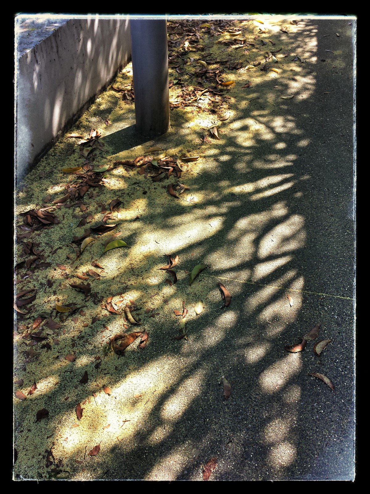 Christian_Morel_20150709_103705_1