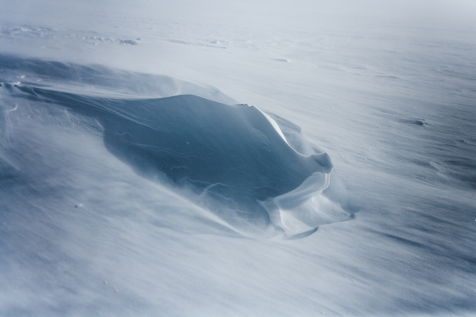 Notre Patrimoine Polaire