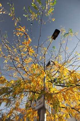 Automne