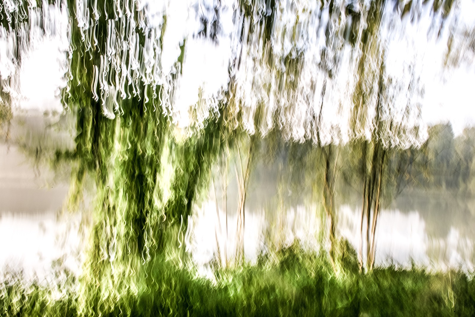 Le refuge de l'araignée