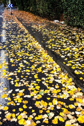 Automne