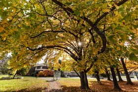 Automne