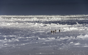 Our Polar Heritage