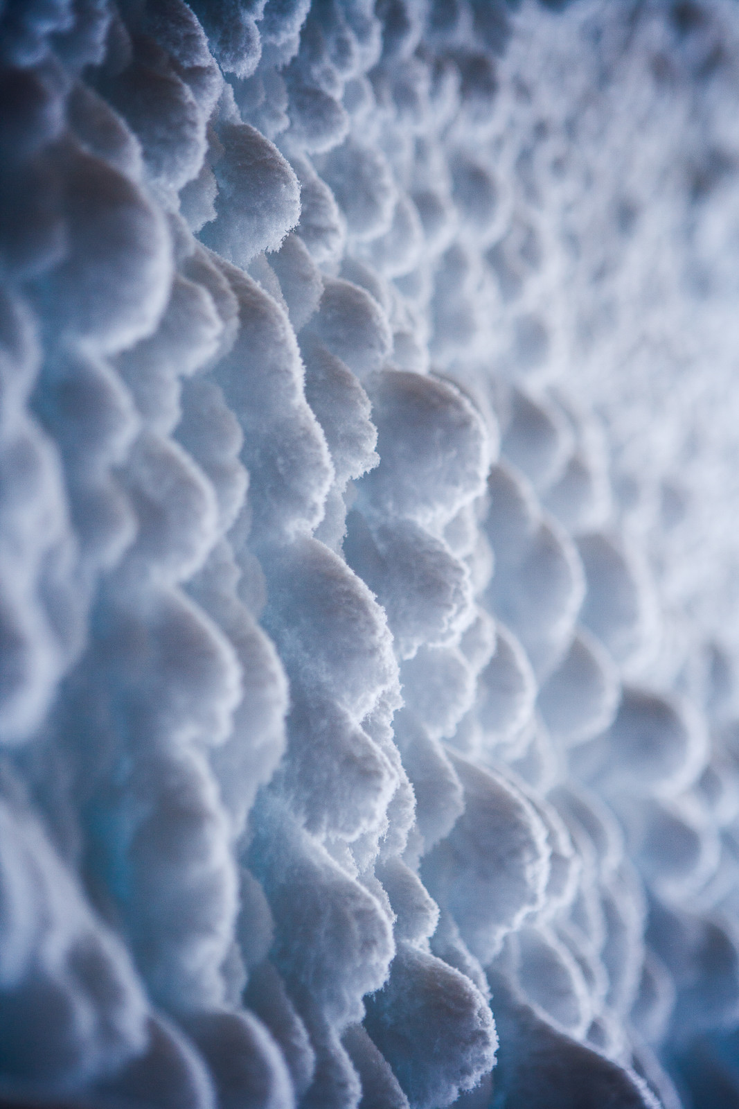 Notre Patrimoine Polaire