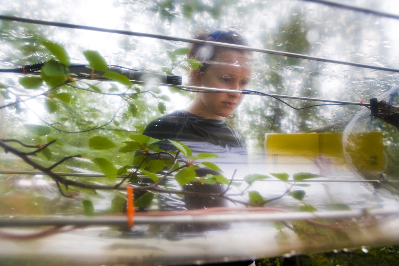 Notre Patrimoine Polaire