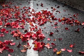 Automne