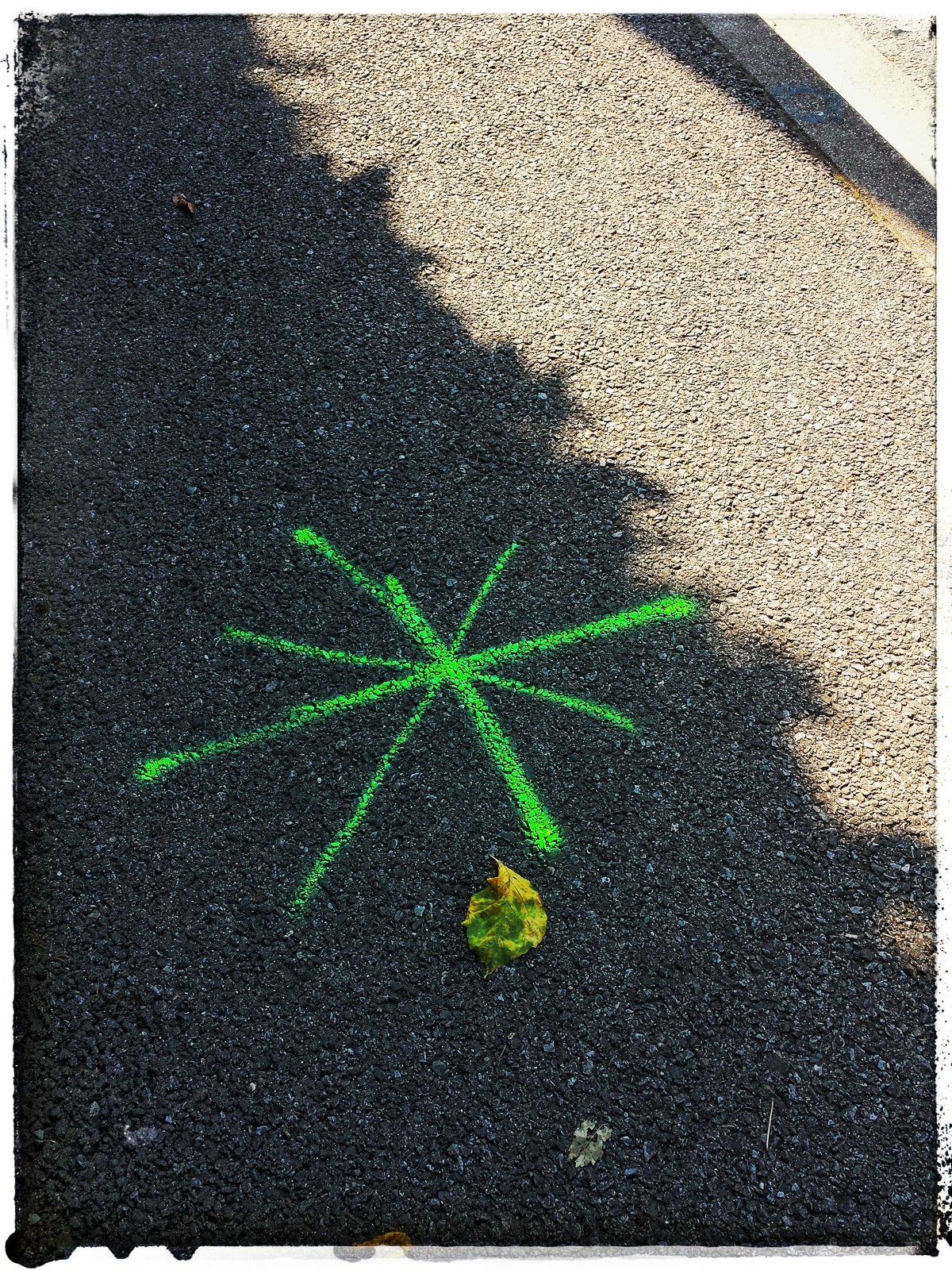 Christian_Morel_20150701_101359-02