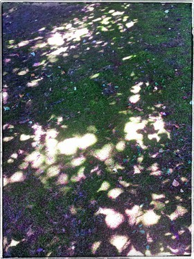Christian_Morel_20150721_142835-01-01.jpg