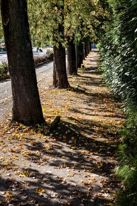 Automne